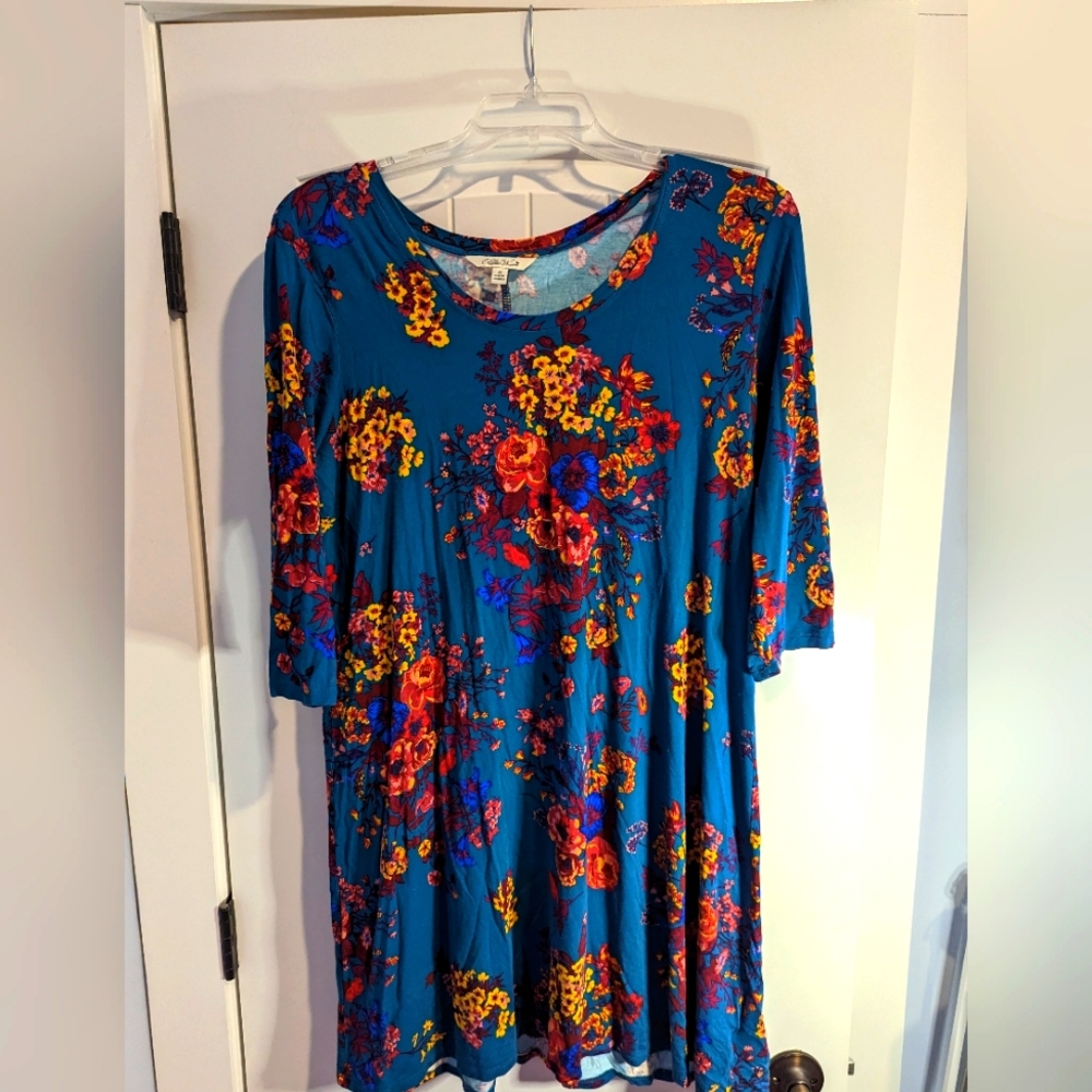 Pioneer Woman dress